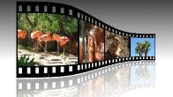 GIMP 2.8 Filmstrip Photos